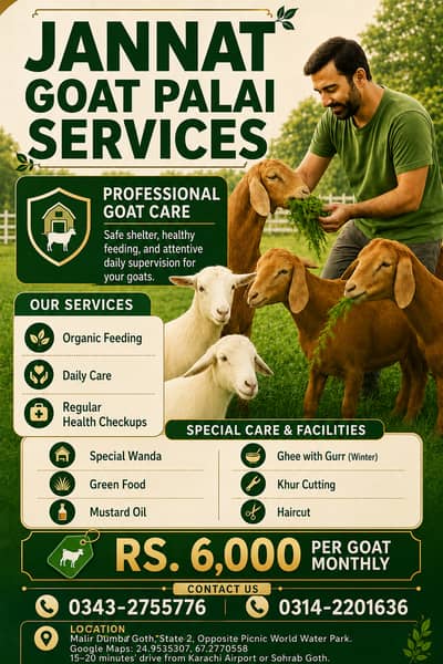 Jannat Goat Palai Service - Complete Care for Your Goats & Sheep