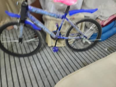 china bicycle