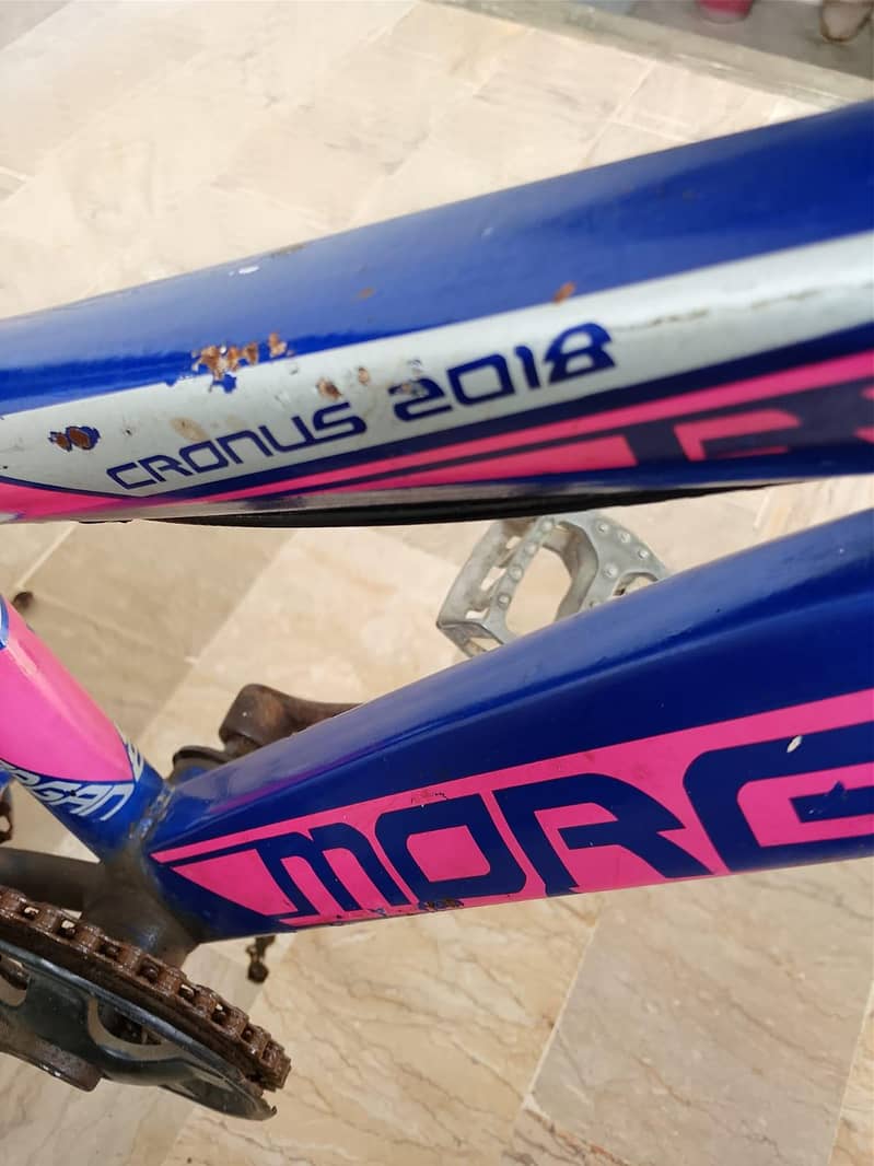 Morgan Cronus 2018 4
