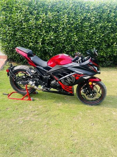 Kawasaki 250 Raplica Bike