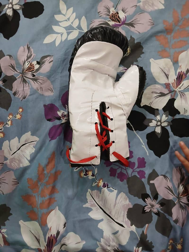 punching gloves 2