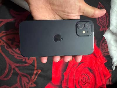 Apple iPhone 12