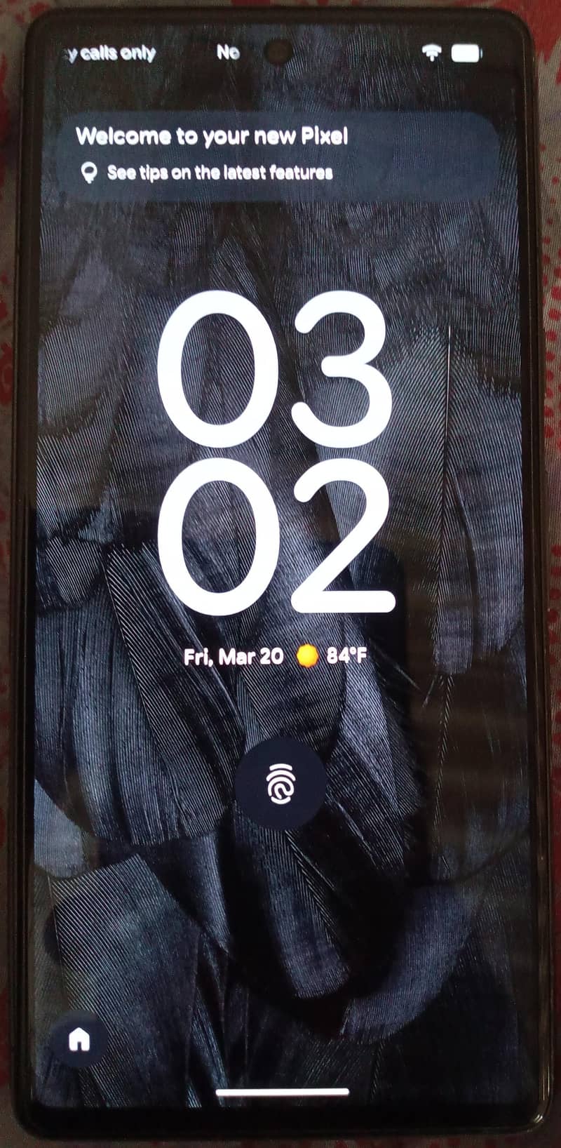 Google Pixel 7 0