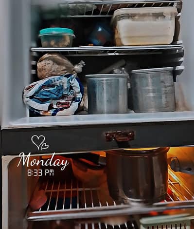 orient medium size refrigerator