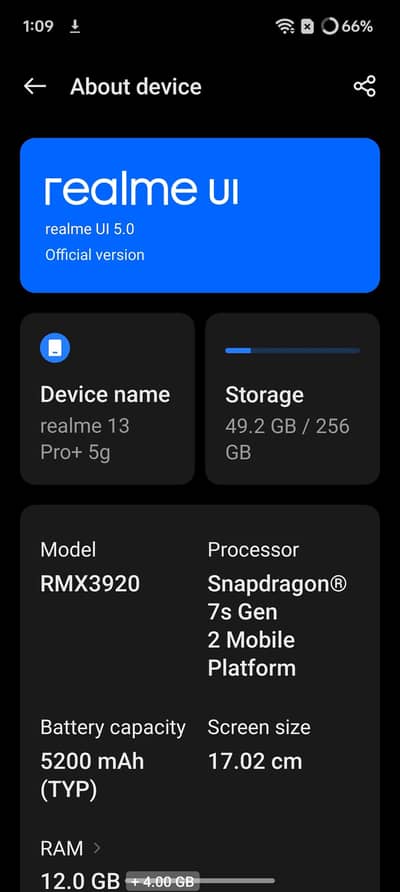 Realme 13 Pro Plus 5g