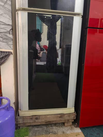 Dawlance Reflection