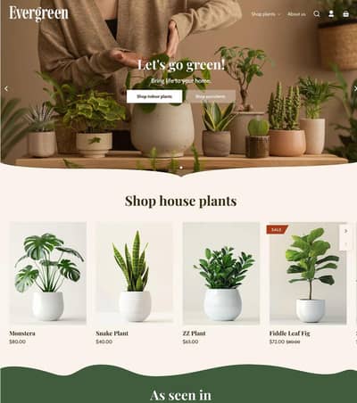 Shopify store