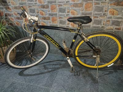 Icon Hybrid Bicycle.