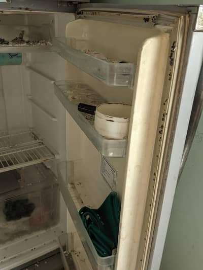 toshiba japnese fridge