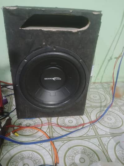 12 subwoofer
