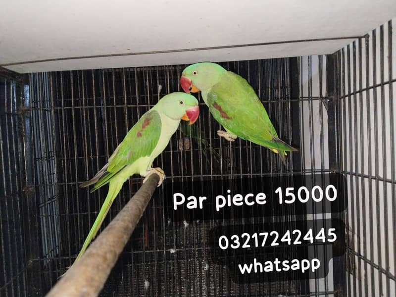 Raw pair 0