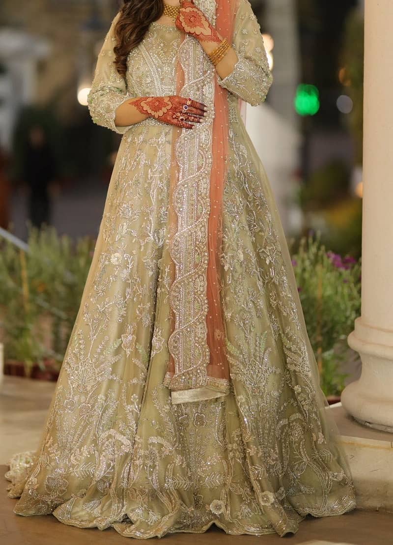 Walima Maxi 1