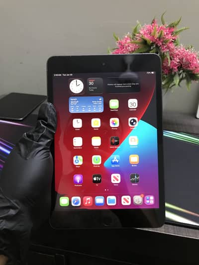 Apple iPad Mini 5 256  / Mini 4 32Gb and 128GB fresh pieces