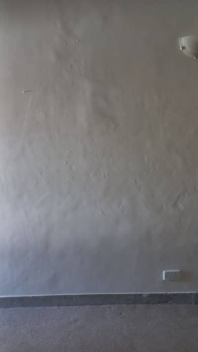Carpets 7 pcs
