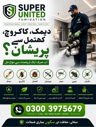 Termite Treatment | Cockroach, Bed Bugs & Pest Control Services Karac