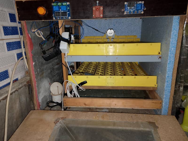 Automatic Incubator. 0
