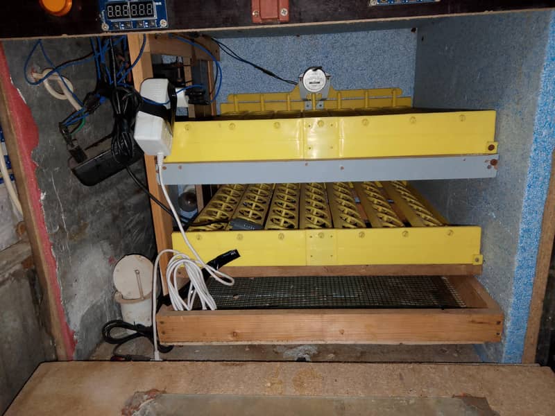 Automatic Incubator. 1