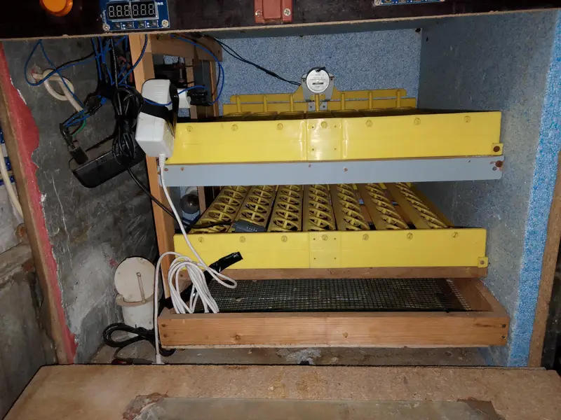Automatic Incubator. — photo 2