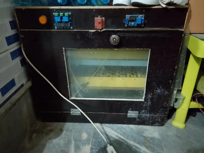 Automatic Incubator. — photo 3