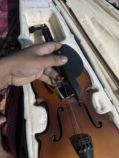 Violins