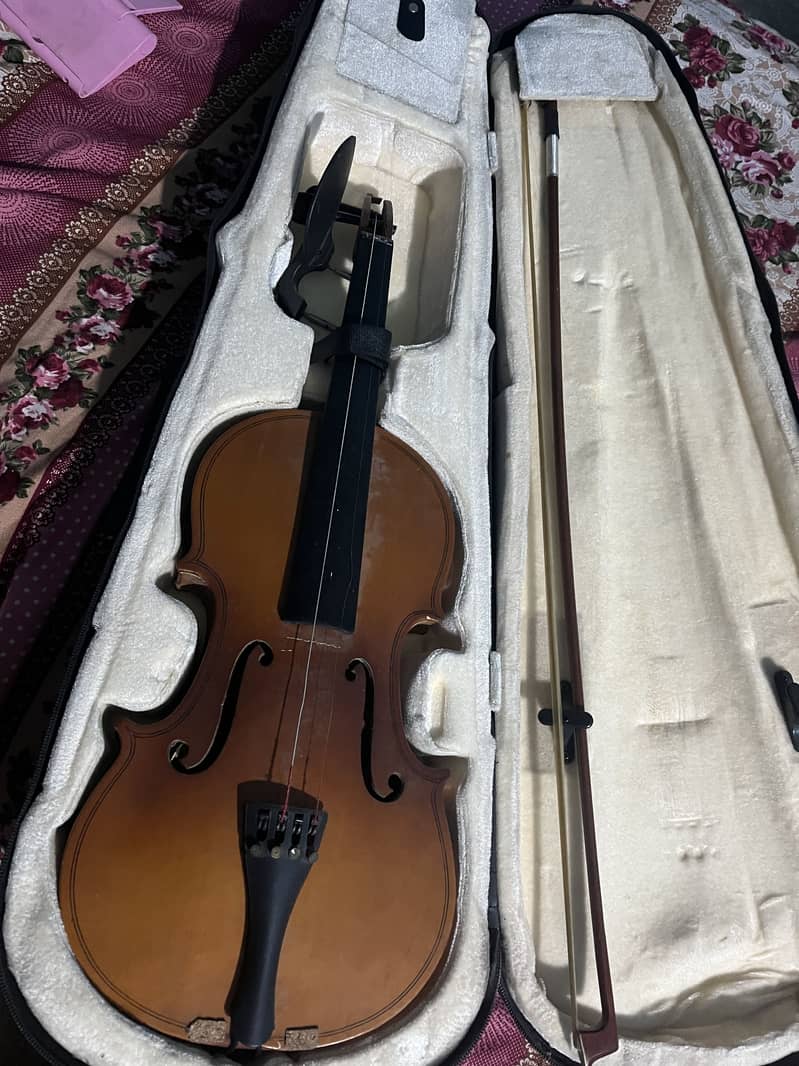 Violins 4