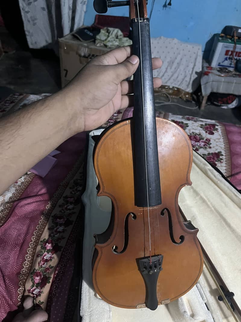 Violins 5