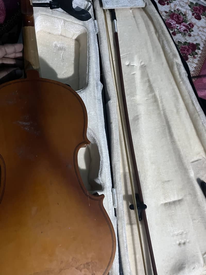 Violins 6