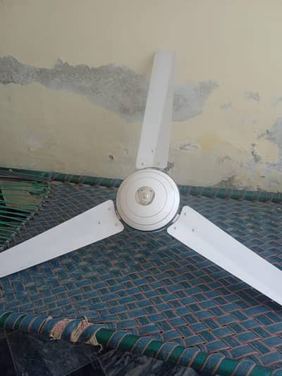 2 Ceiling fans for sale in good condition