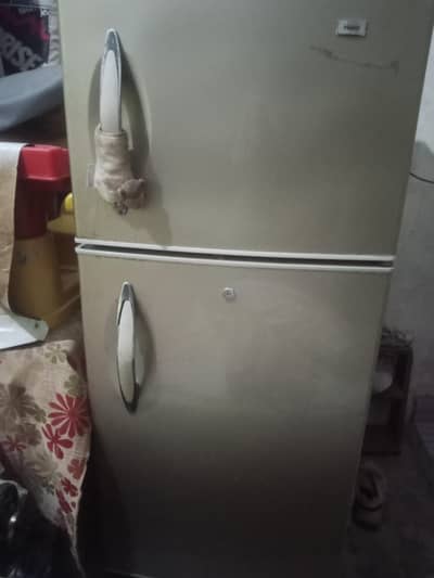 Haier medium size