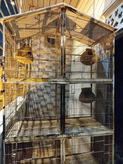 Cage for sale