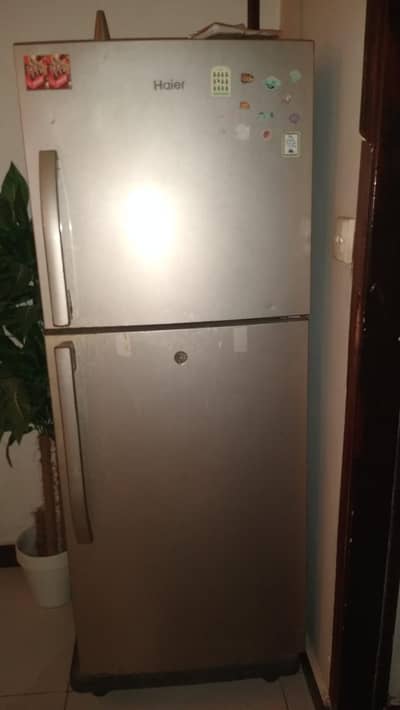 Haier Refrigerator