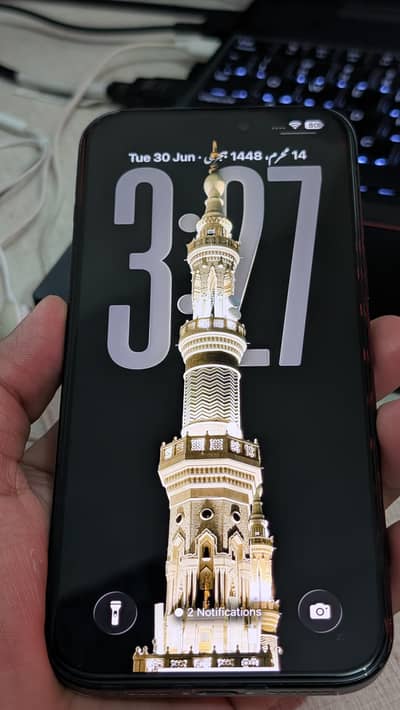 iPhone 16 Pro Max  | Non PTA | Factory Unlock