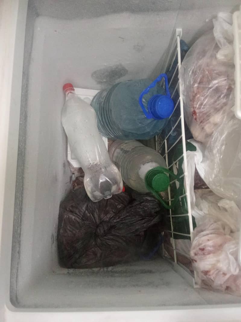 Deep Freezer 4