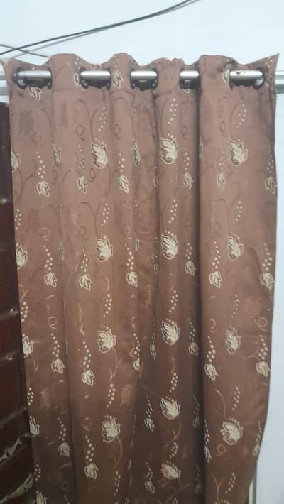 new jesy   fancy 3 curtains hain