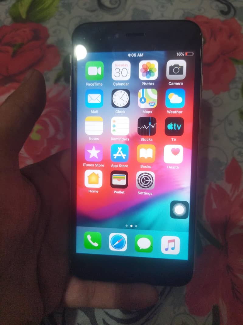 Apple iPhone 6 Plus 1