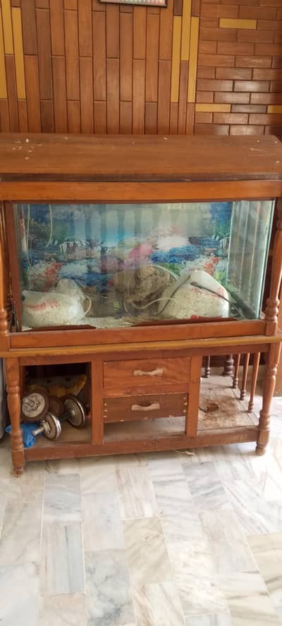 Fish Aquarium