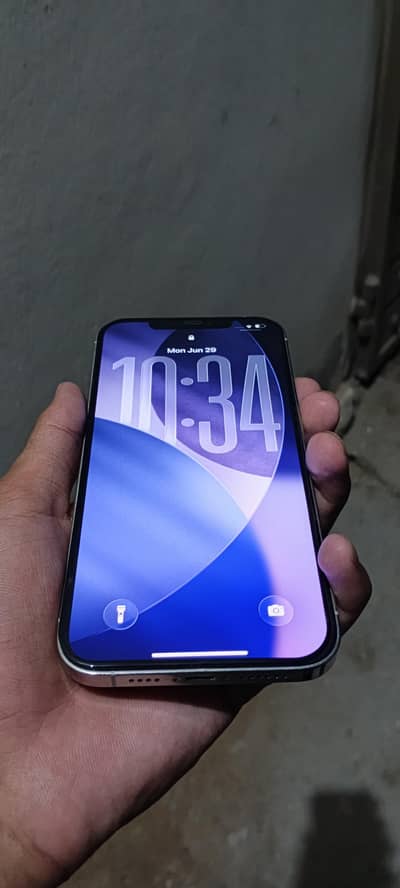 Apple iPhone 12 Pro Max