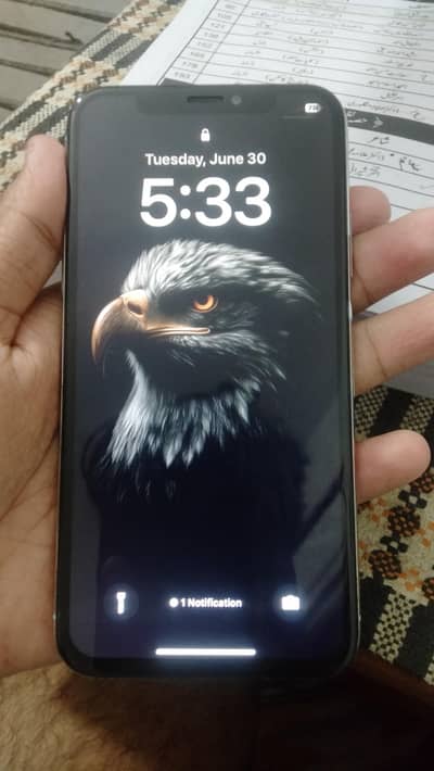 Apple iPhone X