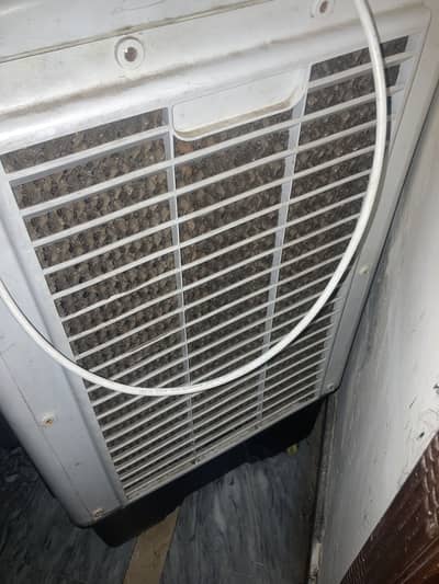 Air cooler