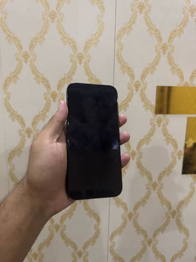 iPhone 16 Pro Max original panel