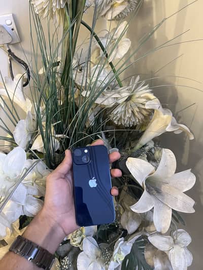 Apple iPhone 13 mini