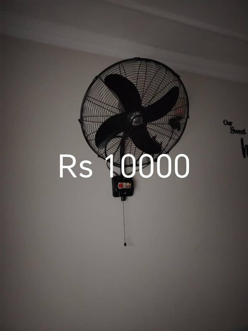 usd butt new 0