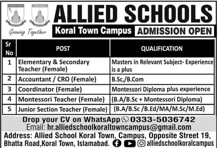 We are Hiring Professional Teachers