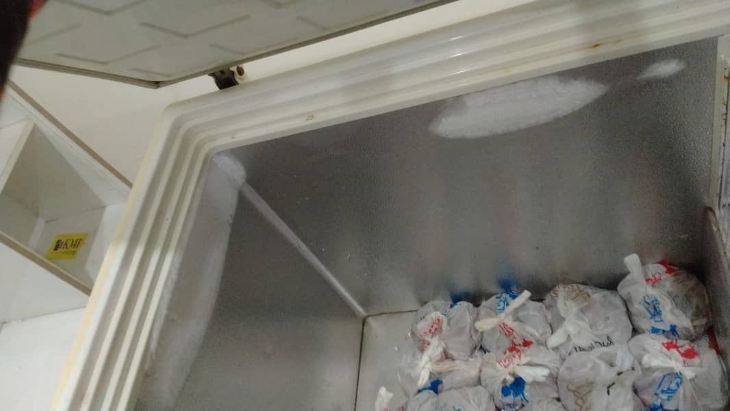 medium size deep freezer 3