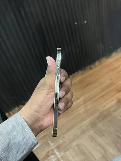 Apple iPhone 12 Pro Max