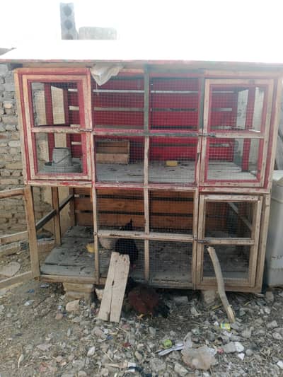 heavy size cage