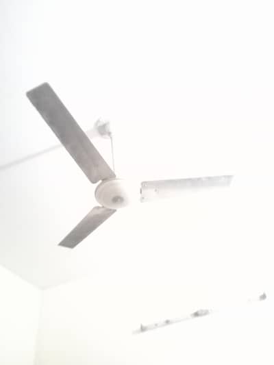 younas fans 3 fans