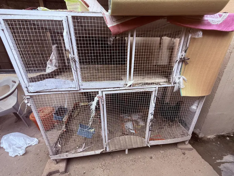Heavy Duty Cage