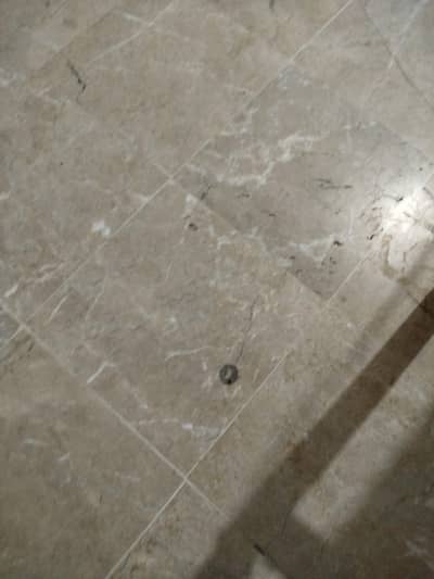 Roommate needed 2 bed apartment furnished
