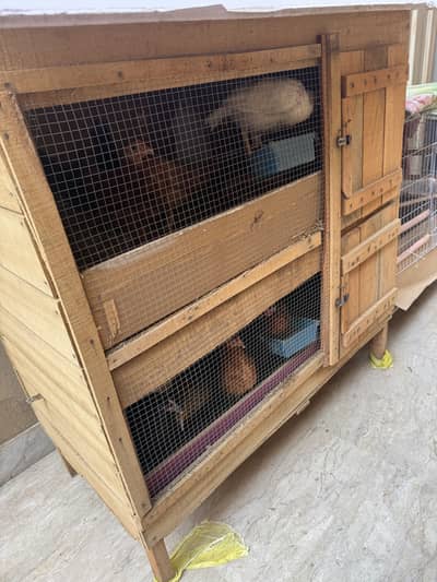 Hen cage